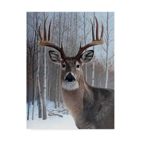 Rusty Frentner 'Deer' Canvas Art,18x24